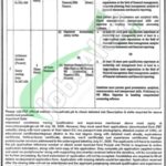 PEF Jobs